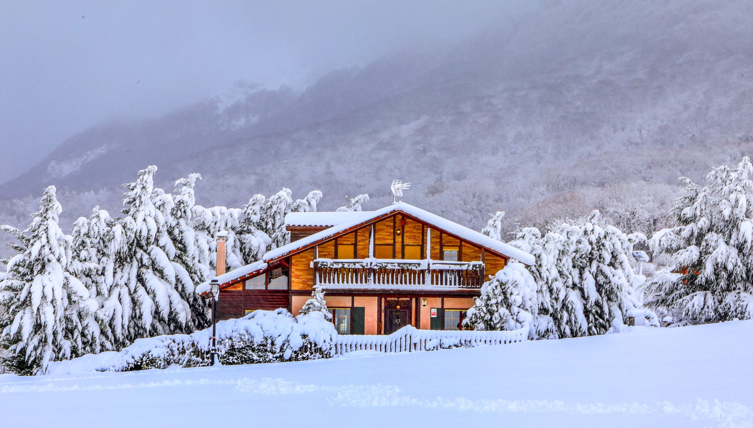 Charming cabin surrounded by snow-covered trees during winter.